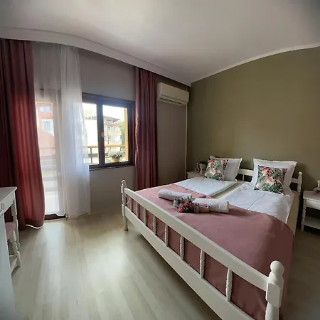 “poli” 4* 네세부르